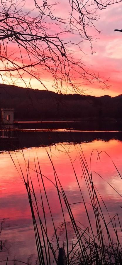 La Terraza Otel Banyoles Dış mekan fotoğraf