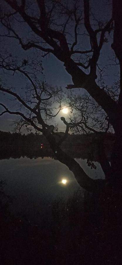 La Terraza Otel Banyoles Dış mekan fotoğraf