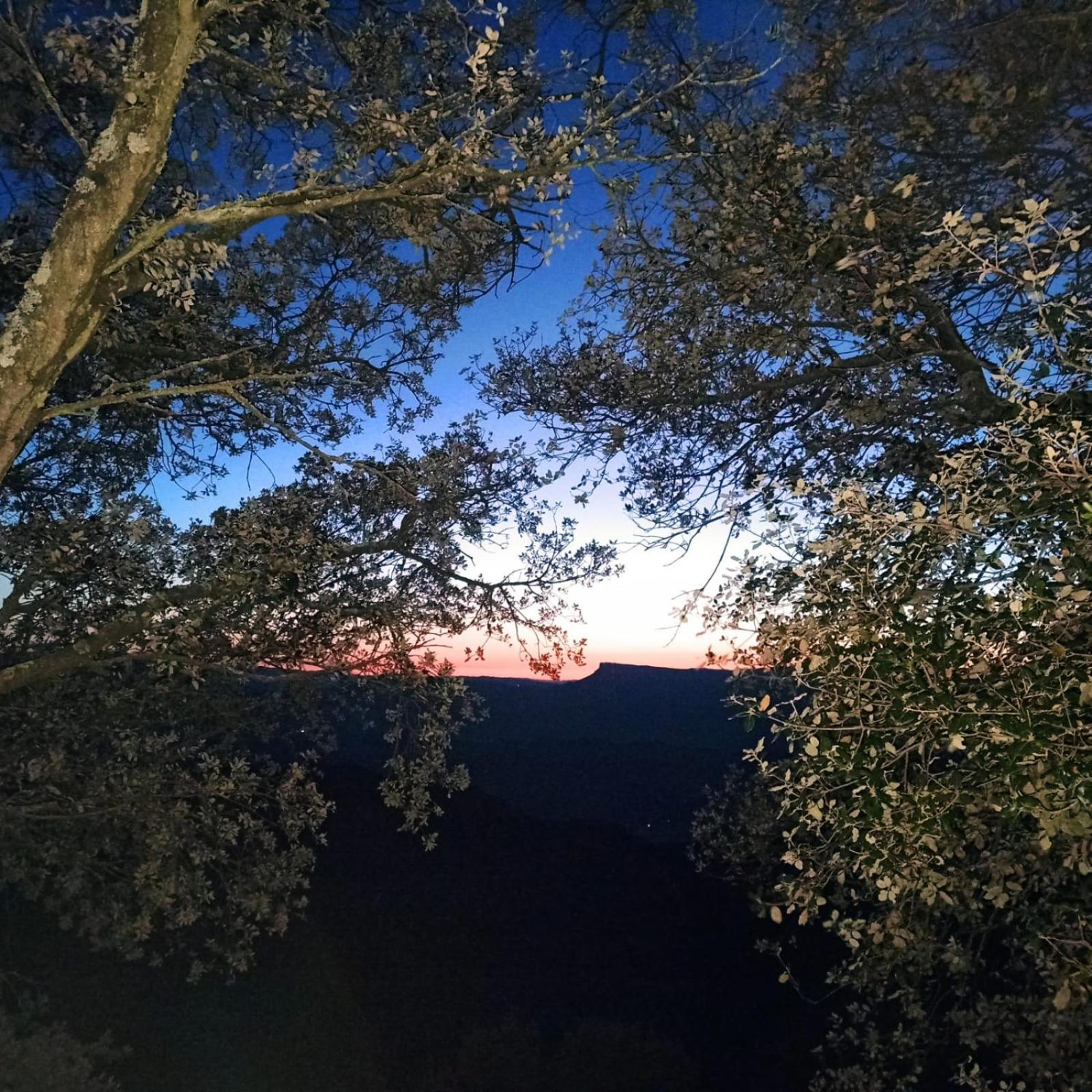 La Terraza Otel Banyoles Dış mekan fotoğraf
